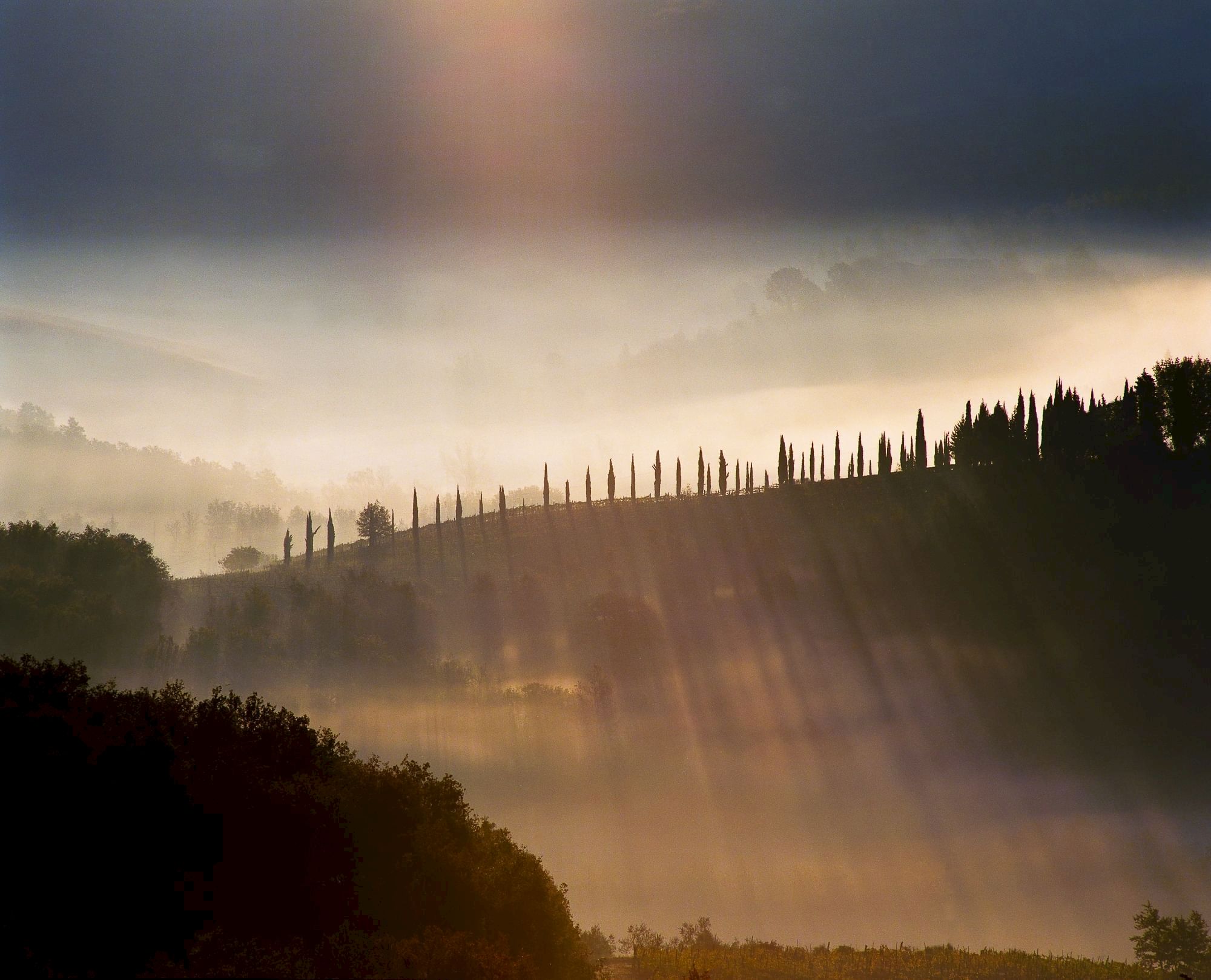 A misty landscape with sunbeams breaking through clouds, illuminating a row of tall trees on a hill.