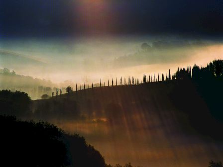 A misty landscape with sunlight streaming over a row of trees atop a hill, creating a serene and atmospheric scene.