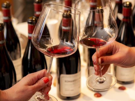Two people clink glasses of red wine surrounded by multiple bottles on a table, celebrating or toasting the occasion.