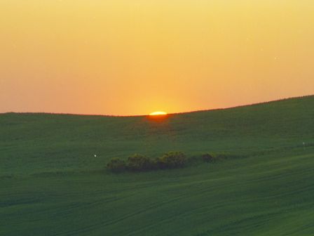 A sunset over rolling green hills with a touch of shrubbery in the foreground and a warm orange sky.