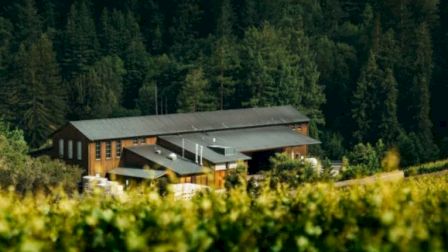 A building surrounded by lush green vineyards and dense forest trees in the background.