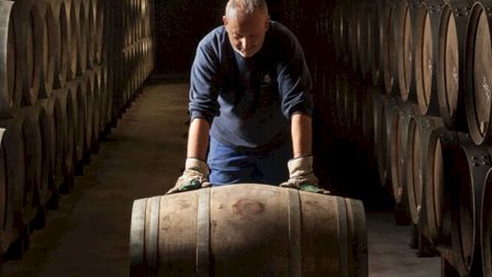 A person is rolling a barrel in a dimly lit cellar lined with rows of wooden barrels.