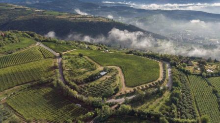 The image shows a scenic aerial view of rolling hills with vineyards and patches of trees, under a cloudy sky with distant fog.