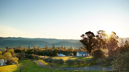 A serene landscape with rolling hills, trees, and a few houses at sunset, bathed in warm light, under a clear blue sky.