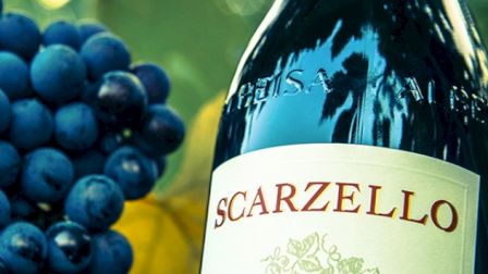 The image shows a bottle of Scarzello wine and a bunch of grapes, against a blurred green background for a wine-related theme.