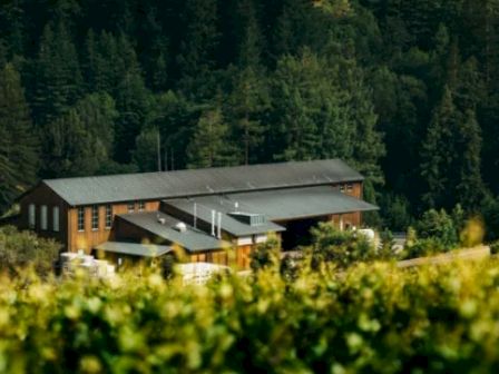A building surrounded by lush green vineyards and dense forest trees in the background.