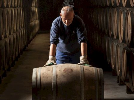 A person is rolling a barrel in a dimly lit cellar lined with rows of wooden barrels.