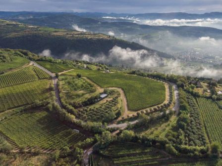 The image shows a scenic aerial view of rolling hills with vineyards and patches of trees, under a cloudy sky with distant fog.