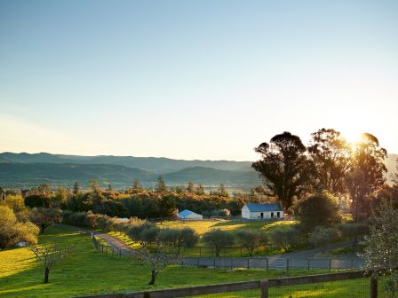 A serene landscape with rolling hills, trees, and a few houses at sunset, bathed in warm light, under a clear blue sky.