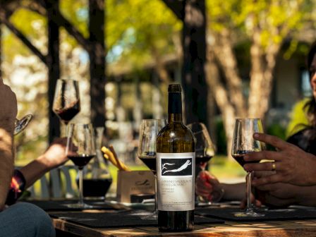 People enjoying wine outdoors at a table, with a bottle centered and glasses raised, under dappled sunlight.